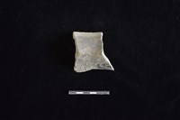 陶罐藏品圖，第2張